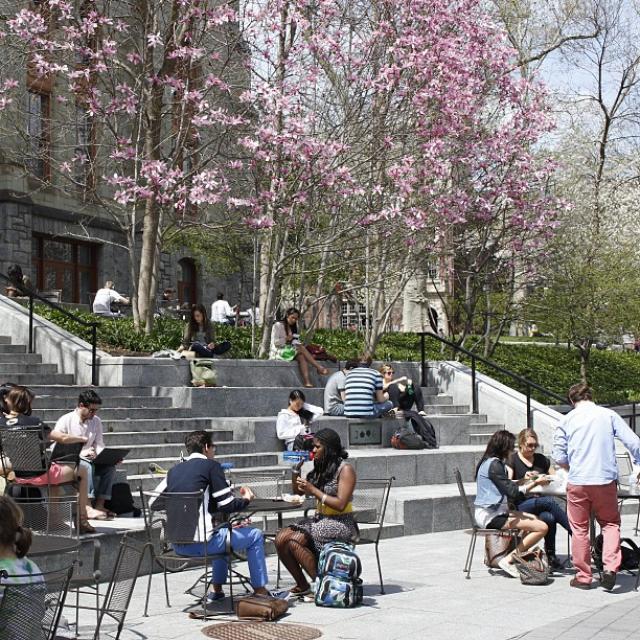 Penn Commons in spring